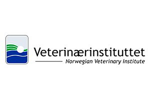 24_NO-24_NVI_Logo