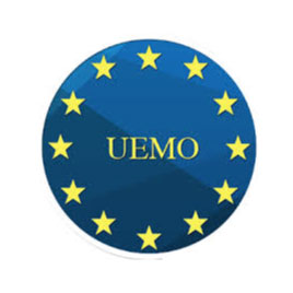  </p>
<p>Union européenne des médecins omnipraticiens (UEMO)