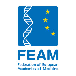 FEAM LOGO