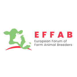 FEFAC