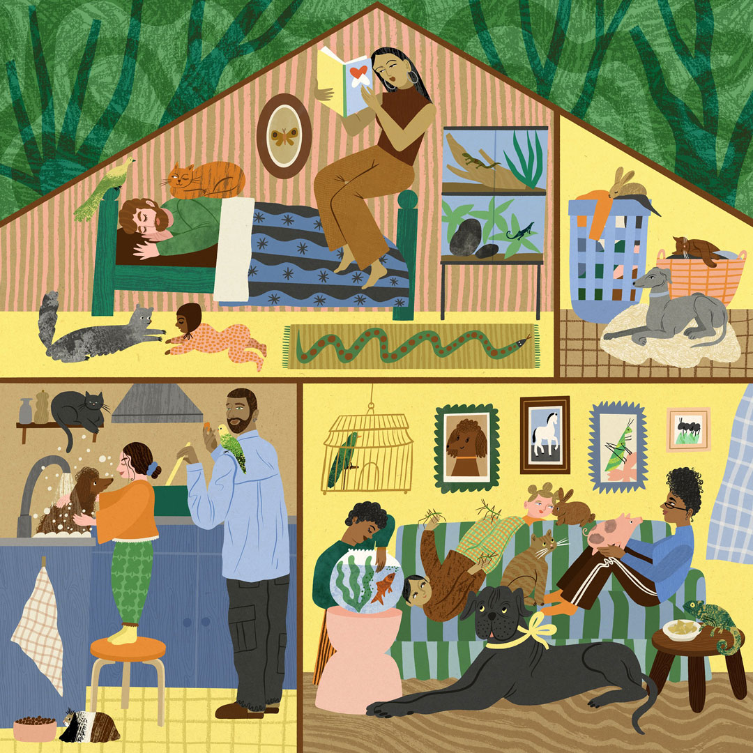 AMR affects our pets too