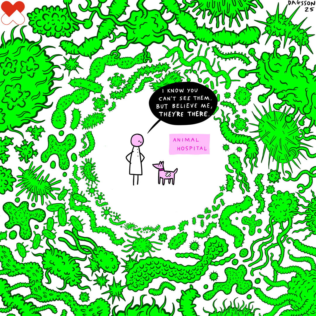 Veterinarians help protect everyone’s health