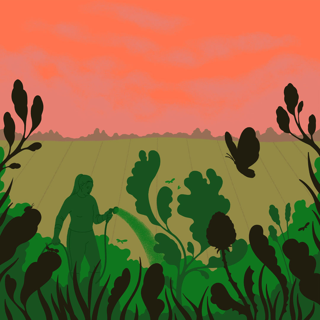 Responsible use of antimicrobials in plant and crop care matters